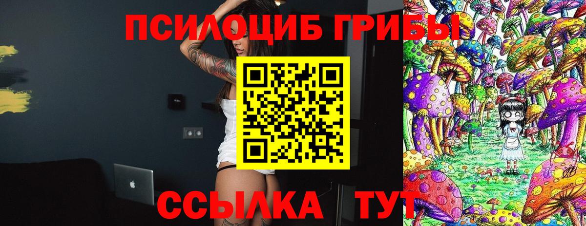 купить закладку  Галлюциногенные грибы прущие грибы  Вход с VPN  Гурьевск  Галлюциногенные грибы мицелий 